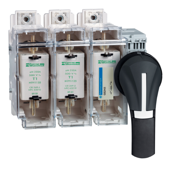 Imagem de Manipulo para comando exterior frontal preto TeSys GS2 - 100-400A