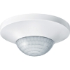 Imagem de ARGUS Presence Master with IR DALI polar white