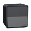 Imagem de Inversor de grupo monobloco Mureva Styl saliente IP55 16A Cinzento