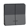 Imagem de Mureva Styl - Botao de pressao duplo - encastrar/saliente - luminoso - IP55 - 16A - Cinzento