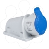 Imagem de PratiKa socket - screw - angled - 16A - 3P + N + E - 200...250 V AC - wall