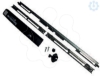 Imagem de Locking system for enclosures 1 single door version 2000H