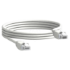 Imagem de network cord - 2 x RJ45 male - L = 0.3 m - set of 10