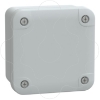 Imagem de PC box IP66 IK08 RAL7035 Int.H80W80D65 Ext.H89W89D51 opaque PC cover H10