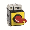 Imagem de TeSys Vario - emergency stop switch disconnector - 25 A - back of enclosure