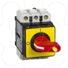 Imagem de TeSys Vario - emergency stop switch disconnector - 25 A - back of enclosure