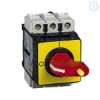 Imagem de TeSys Vario - emergency stop switch disconnector - 25 A - back of enclosure