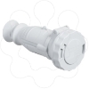 Imagem de PratiKa wander socket - straight - 16 A - 2P - 20...25 V DC - IP67
