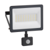 Imagem de Mureva lights Floodlight 30W 6500K IP44 IR Sensor 230V