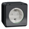 Imagem de Tomada 2P+T com obturadores Mureva Styl saliente ligadores parafuso IP55 16A Cinzento