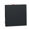 Imagem de Interruptor Unica 10A Antracite