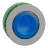 Imagem de Label  botao flush  cabeca col azul