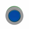 Imagem de Label  botao flush  cabeca col azul
