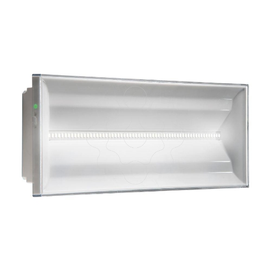 Imagem de Nexitech Led 250 nm/m 1h30 AT TC