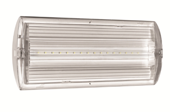 Imagem de Ledus16 2h TC IP40 Pictograma incluido