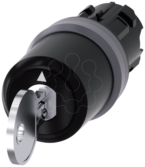 Imagem de Interruptor de chave Siemens, C, com monitorização, plástico, anel frontal de metal