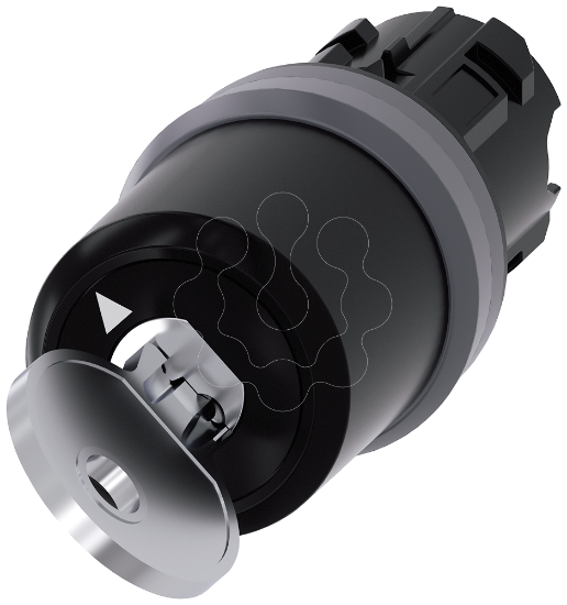 Imagem de Interruptor de chave Siemens, C, com monitorização, plástico, anel frontal de metal