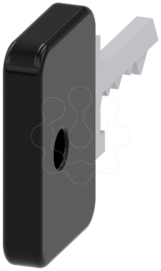 Imagem de Chave para interruptor de chave O.M.R, preto