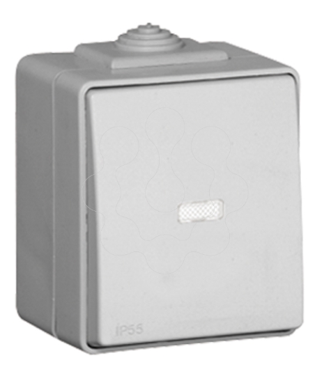 Imagem de BOTAO BASCULANTE LUMINOSO DE 250V CINZENTO