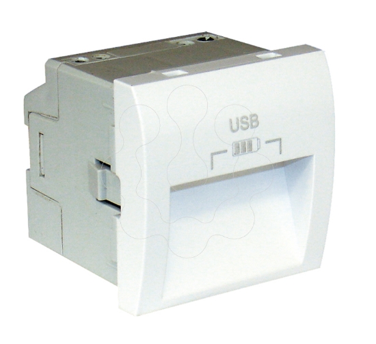 Imagem de CARREG DUPLO USB SAIDAS 20° TIPO A - 2 MOD BR
