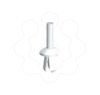Imagem de 77 Rebite plastico cor natural O3 x 6 U60X