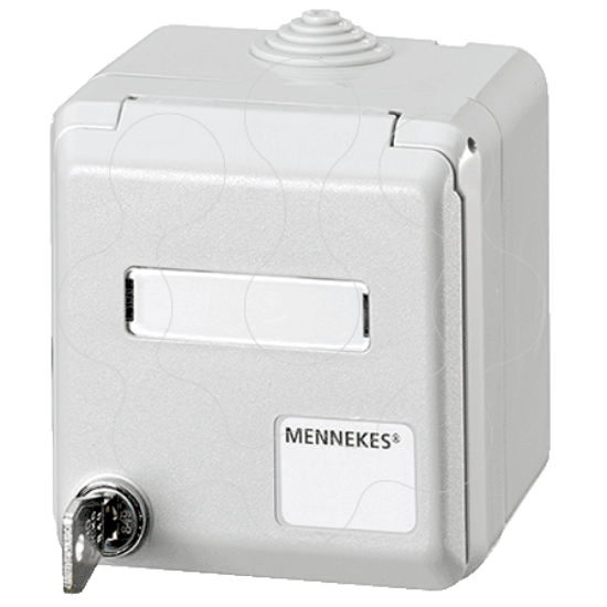 Imagem de Involucro Cepex cinzento claro 4300