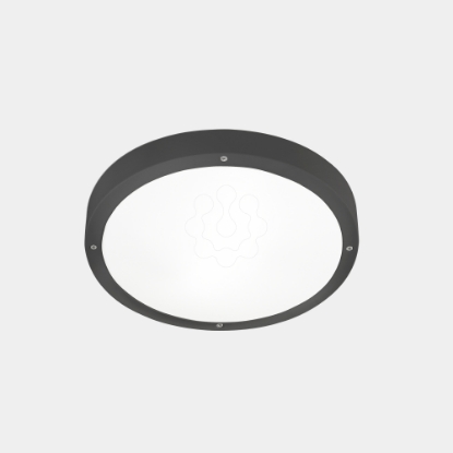 Mostrar detalhes para Plafon IP66 Basic ø260mm E27 15 Cinzento urbano Imagem de Plafon IP66 Basic ø260mm E27 15 Cinzento urbano
