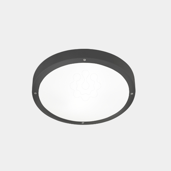 Imagem de Plafon IP66 Basic ø260mm E27 15 Cinzento urbano
