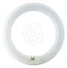 Imagem de TL-E 32W/840 1CT/12