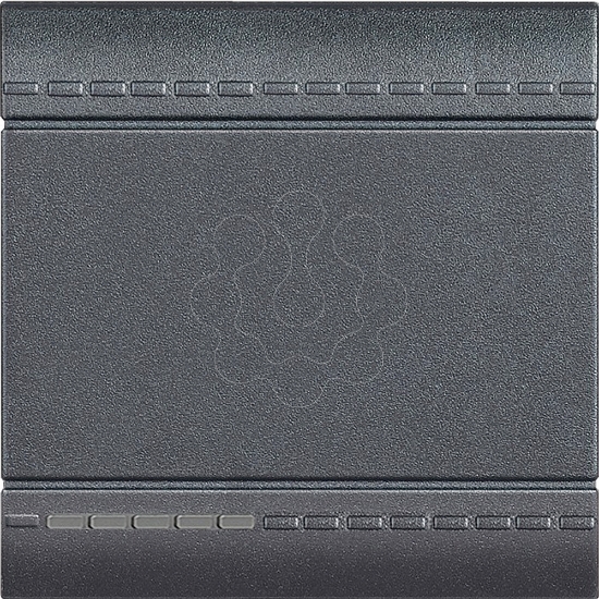 Imagem de Livinglight MyHOME - Tecla neutra iluminável - Antracite, 2 módulos