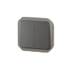 Imagem de Plexo IP 55 componível - Comando multifunções duplas, Antracite
