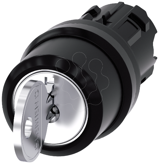 Imagem de Key-operated switch RONIS, I-O-II