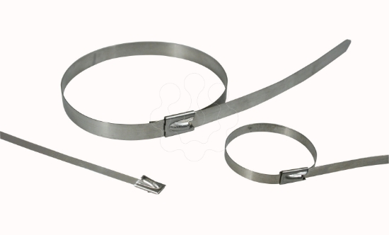 Imagem de Braçadeiras INOX, 200/46 N316 INOX BALL SES STERLING