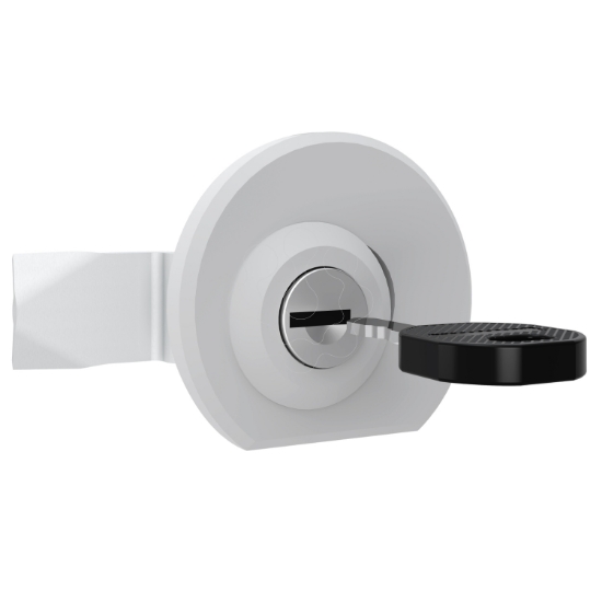 Imagem de Canhao com chave para quadro S IP43