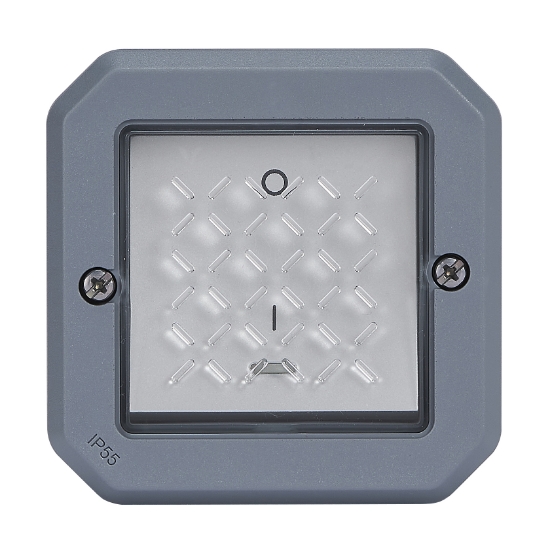 Imagem de Plexo IP 55 componível - Interruptor Bipolar 16 AX com sinalização, Cinzento