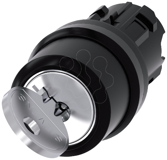 Imagem de Key-operated switch RONIS, O-I