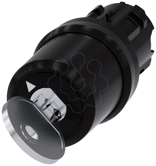 Imagem de Key-operated switch BKS, O-I