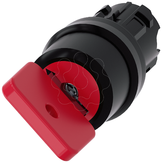 Imagem de Key-operated switch O.M.R, O-I