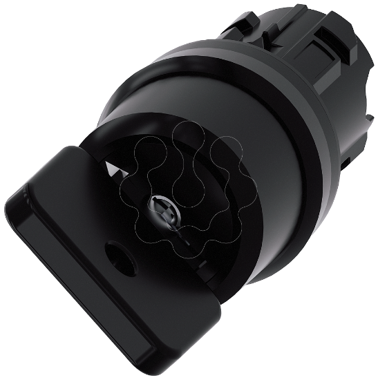 Imagem de Key-operated switch O.M.R, O-I