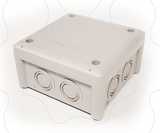 Imagem de CAIXA C/ENT.MARCADAS J100M CE