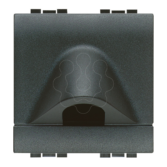 Imagem de Livinglight - Saída de cabos - Antracite, 2 módulos