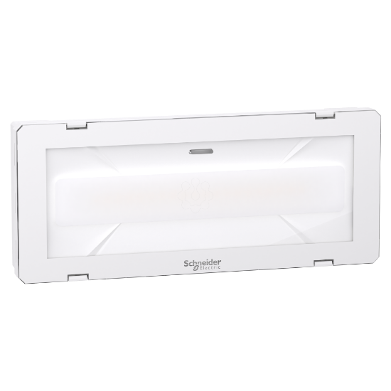 Imagem de Exiway Smartled - emergency light - CBS - LED - 1000 lm - 216VDC 230 IP55