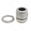 Imagem de Thorsman Glands - cable gland - grey - M32 - diameter 15 to 21