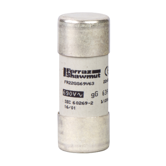 Imagem de TeSys porta-fusível - cartucho fusível 22 x 58 mm gG 40 A - s/ indicação