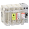 Imagem de interruptor seccionador para fusíveis TeSys GS2J - 4P 100A 22x58