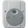Imagem de ARGUS light-sensitive switch, with switching delay, light grey