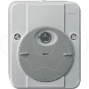 Imagem de ARGUS light-sensitive switch, without switching delay, light grey