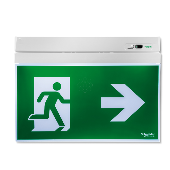 Imagem de Emergency exit sign, Exiway Smartexit Activa, self-diagnostics, maintained, 24 m, 1 h 30 m
