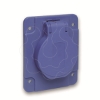 Imagem de PratiKa socket - blue - 2P + E - 10/16 A - 250 V - French - IP54 - flush - back