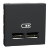 Imagem de Tomada carregador 2 USB tipo 2.0, Unica, 1A, Antracite